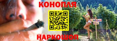 прущие грибы Камышлов