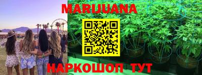 прущие грибы Камышлов