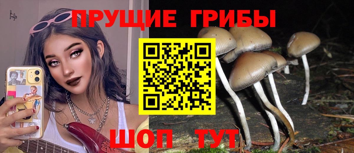 закладка  Псилоцибиновые грибы MAGIC MUSHROOMS  Вход с VPN  Кувандык 